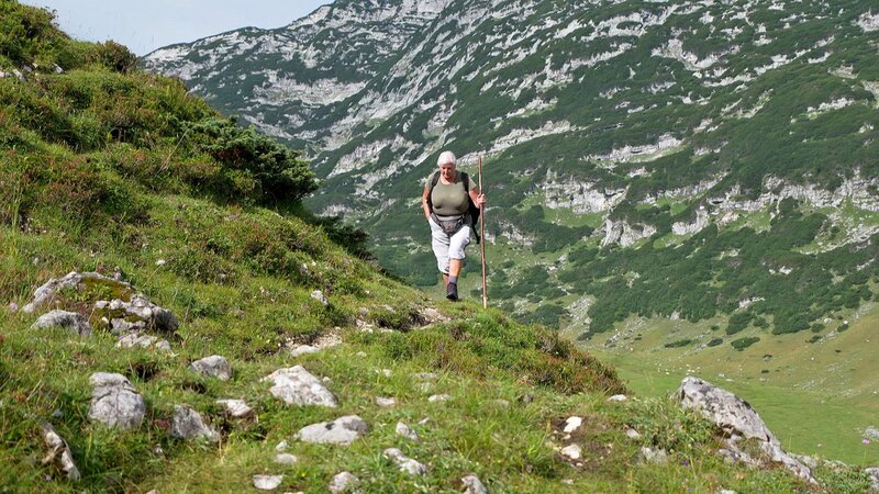 Frühsommer auf der Augstwiesalm – Bild: ORF/​Visualize