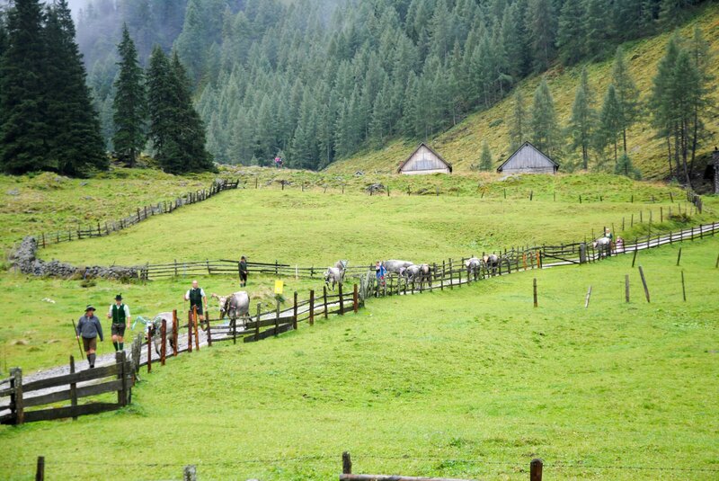 Leben unterm Himmelszelt – Bild: ORF/​Ranfilm