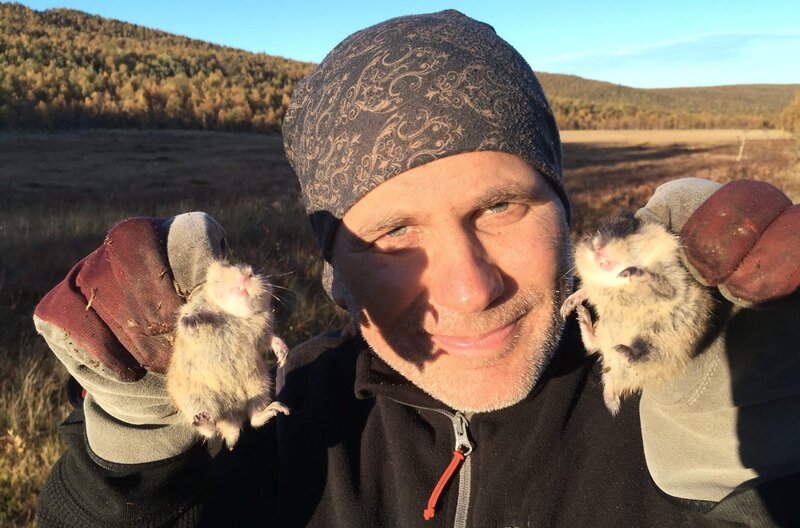 Die kleinen Giganten des Nordens – Bild: NDR/​Doclights GmbH NDR Naturfilm