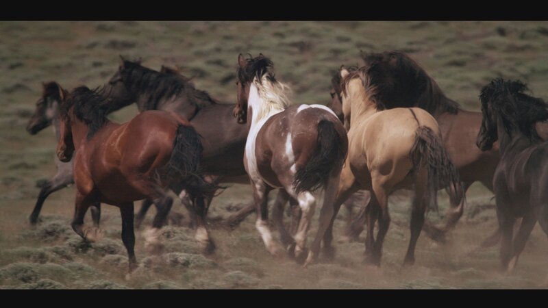 . – Bild: Bergblick