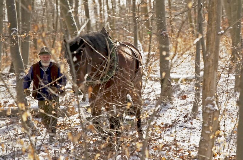 Paulinzella - Der Schatz im Wald – Bild: MDR