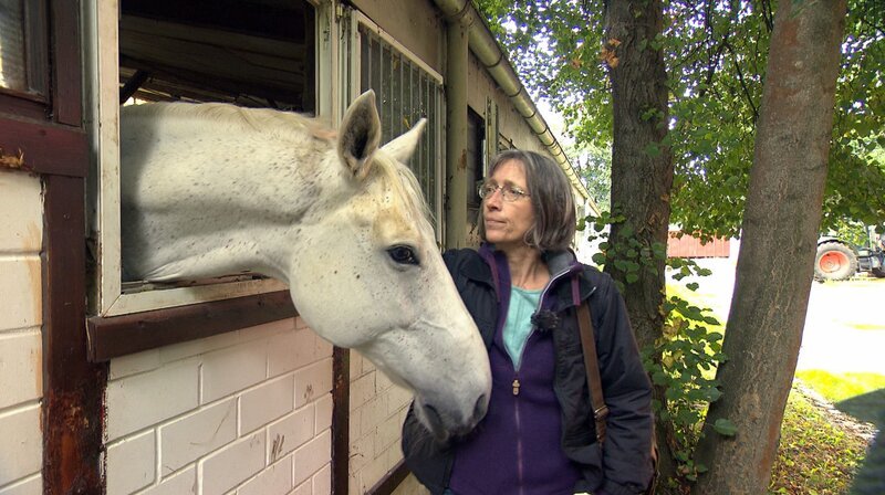 Als Amtstierärztin hat Dr. Tanja Pietrzak ein Herz für kleine und große Tiere. Heute kontrolliert sie einen Pferdestall. Die Tiere hatten nicht genug Platz. – Bild: BR/​NDR/​nahaufnahme medienproduktion