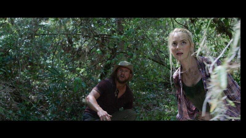 Jungle Run – Bild: Smart Media GmbH /​ © Smart Media GmbH /​ © Smart Media GmbH