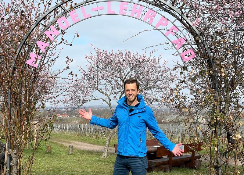 Expedition in die Heimat 265: Der Mandelblütenpfad – fernsehserien.de