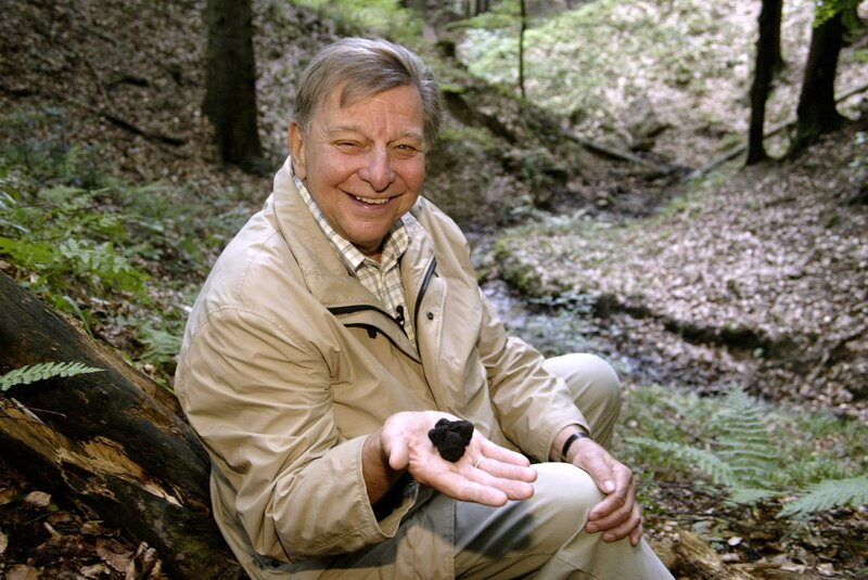 Das geheimnisvolle Leben der Pilze – Bild: 3sat