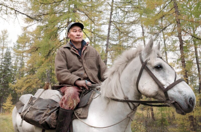 Im Sommer versorgt Andrian zu Pferd die entlegenen Dörfer in der sibirischen Taiga mit Post. – Bild: ZDF /​ © Ilya Zwerev /​ © Ilya Zwerev