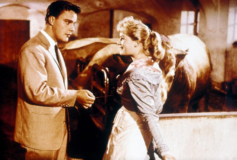 Vier Mädel aus der Wachau – Bild: ORF/​TELEPOOL