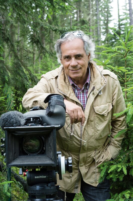 Die geheimnisvolle Welt der Bäume – Bild: ORF/​RANfilm/​Rudolf Mayr