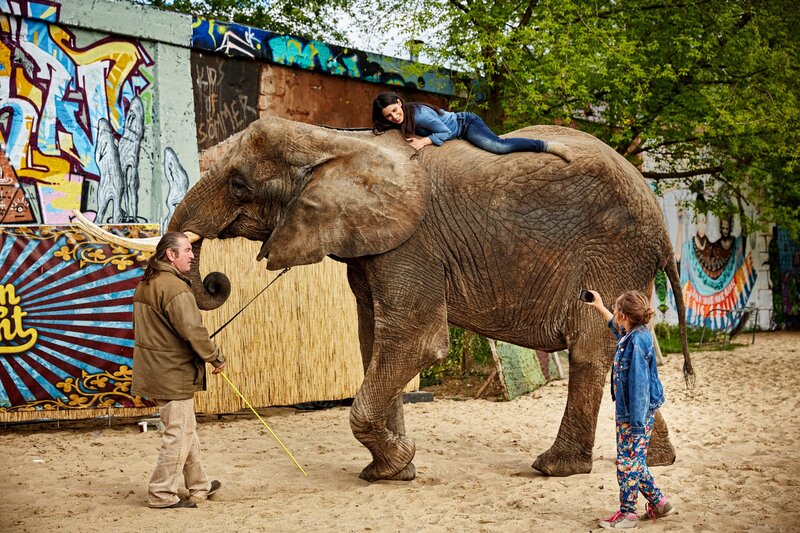 Marry Me! – Bild: ZDF und Heinz Heiss./​Heinz Heiss