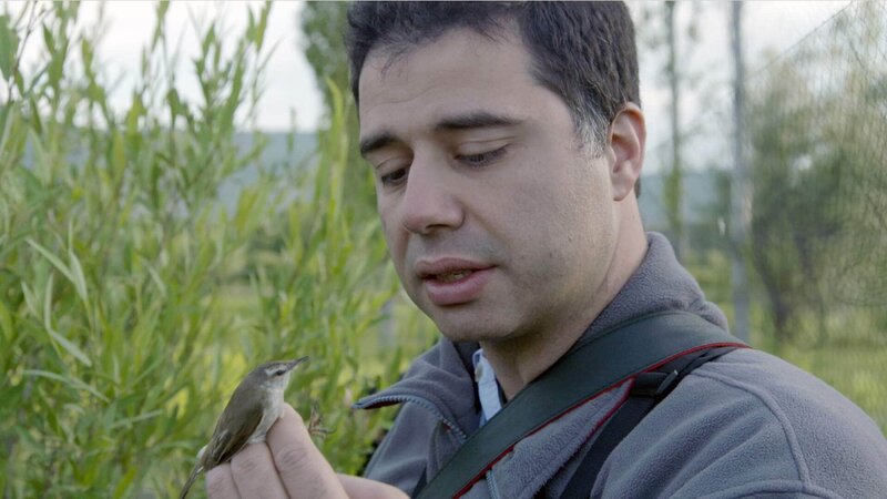 Das Verschwinden der Singvögel – Bild: RTL /​ © SONGBIRDS SOS Die Verwendung des Materials von RTL Deutschland ist nur zur redaktionellen Berichterstattung im Zusammenhang mit der Sendung unter Angabe der Credits/​Quellenangabe und Beachtung