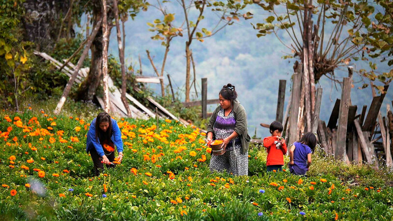 Bhutan - Glücksland im Wandel – Bild: SRF2