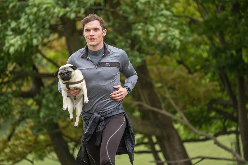 Ein Mops zum Verlieben – Bild: ZDF und Nick Wall.