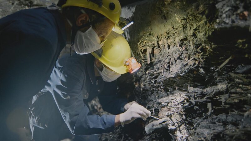 Hans Reschreiter, Ausgrabungsleiter prähistorisches Bergwerk Hallstatt, bei Forschungsarbeiten. – Bild: Carmen Treichl /​ BR, arte, ORF, Degn Film GmbH /​ BR/​Degn Film GmbH/​ORF/​arte/​Carmen Treichl