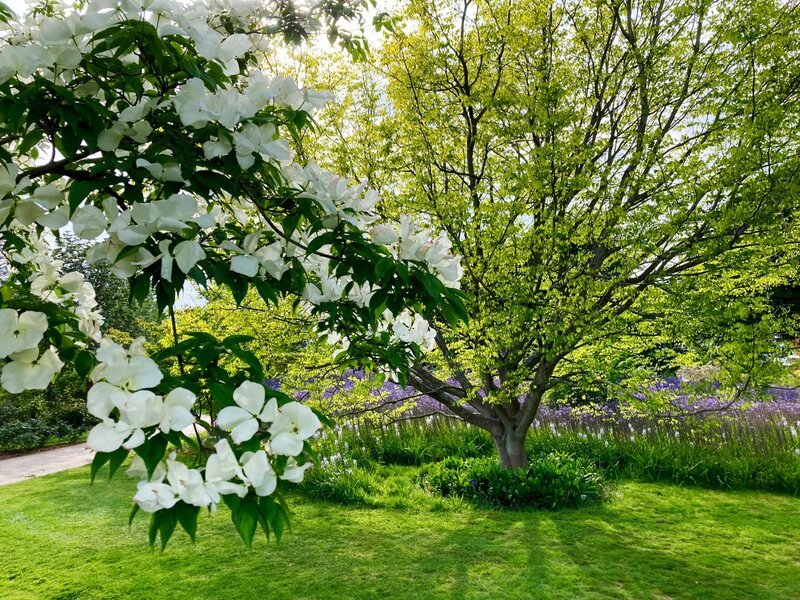 Wisley Schaugarten. – Bild: ORF/Ralph Huber-Blechinger Wisley Schaugarten. – Bild: ORF/Ralph Huber-Blechinger