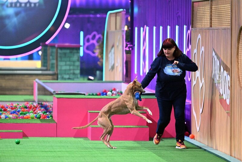 Top Dog Germany – Der beste Hund Deutschlands S02E01: Folge 7