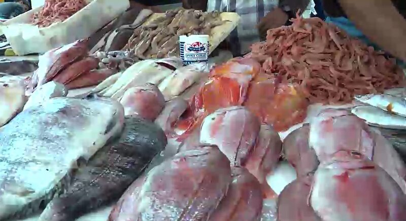 Die Wahrheit über Fisch – Bild: ORF/​D5 Produktion