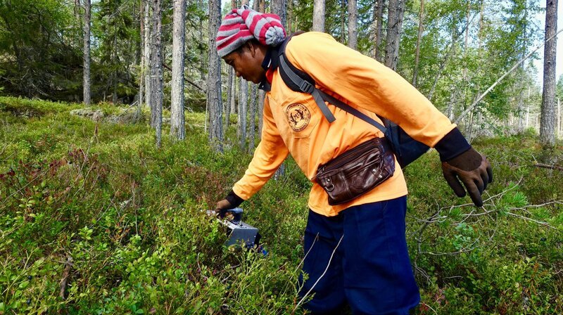 Chang ist einer von knapp 6.200 thailändischen Beerensammlern in Schweden. – Bild: ZDF und WDR.