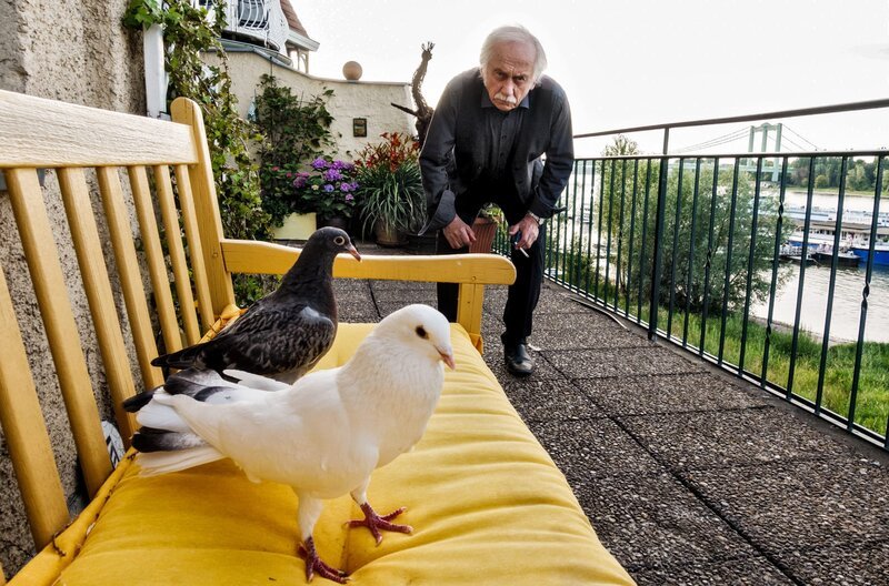Edwin Bremer (Tilo Prückner) hat ein Tauben-Problem auf seinem Balkon. – Bild: ARD/​Kai Schulz