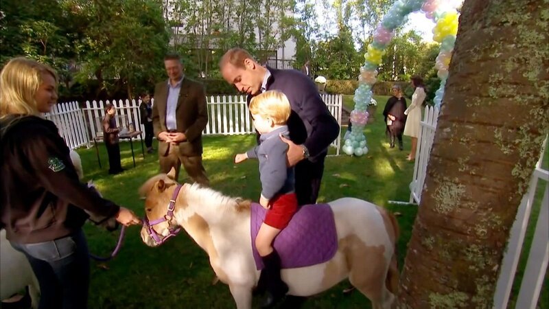 William mit George. – Bild: ORF/ZDF William mit George. – Bild: ORF/ZDF