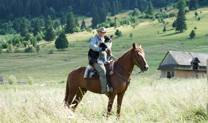 Hank Pavlik (James Brolin) – Bild: MPCA Lizenzbild frei