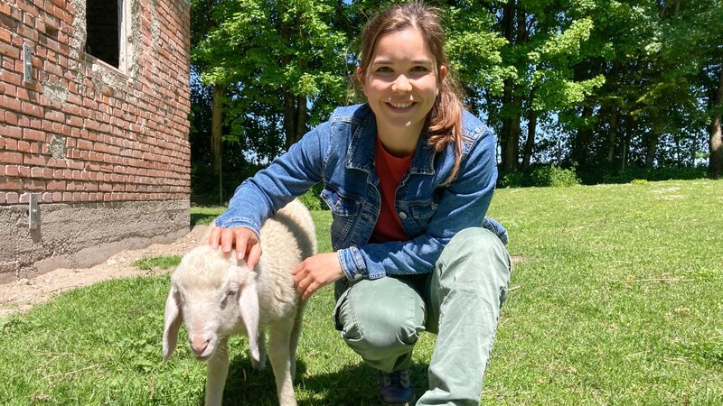 Anna Auf Dem Bauernhof 03 Die Bunte Ferkelbande Fernsehseriende 