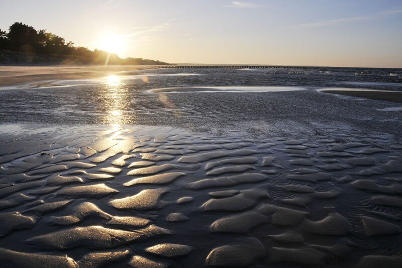 MareTV 111 Auf Dem Dar Zwischen Ostseee Und Bodden Fernsehserien de
