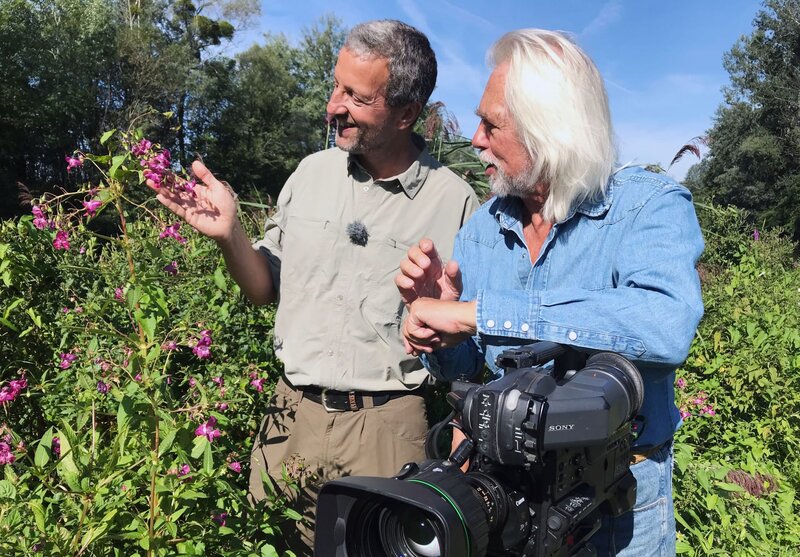 Exoten in Oberösterreich – Bild: ORF/​Jutta Anna Wirth