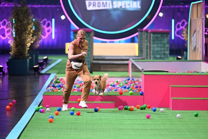 Top Dog Germany Der beste Hund Deutschlands Specials Episodenguide