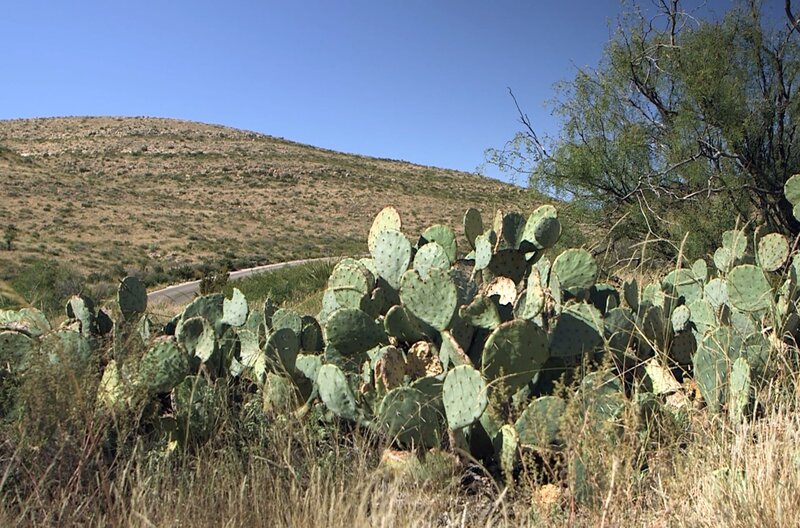 Stadt Land Kunst 1025 Canute Caliste Zauberhaftes Carriacou