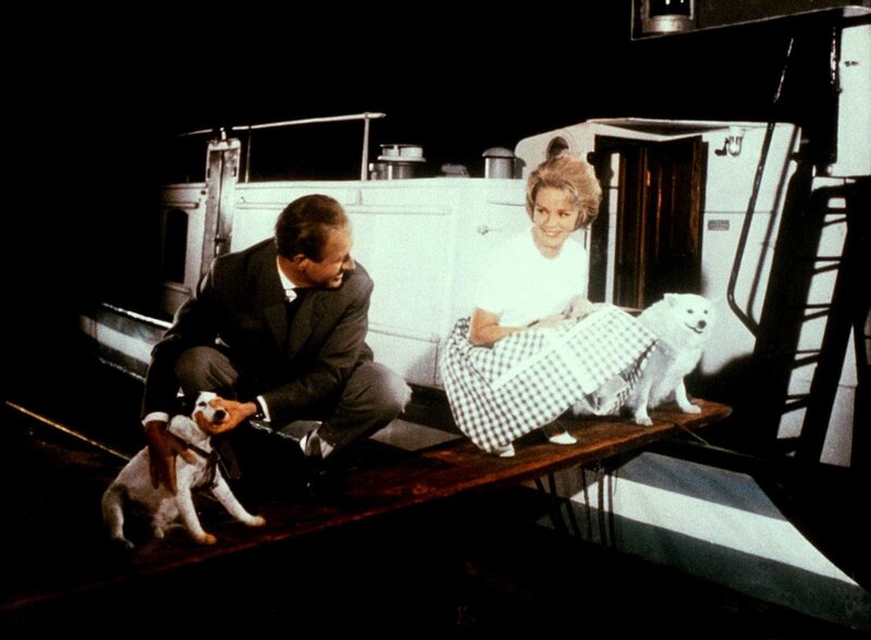 Drei Mann in einem Boot – Bild: ORF/​-. Andere Verwendung