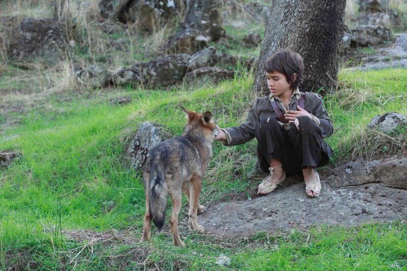 Die außergewöhnliche Geschichte eines Jungen, der zwölf Jahre lang in den Bergen der Sierra Morena zusammen mit einem Rudel Wölfe lebte. – Bild: Wanda Vision