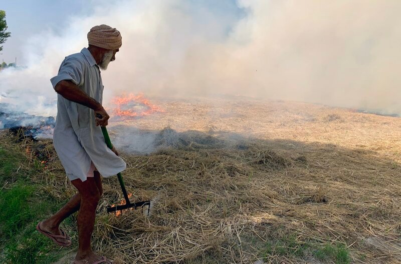 Ein Bauer in Punjab, Indien, brennt Erntereste ab. Diese Praxis ist die Ursache massiver Luftverschmutzung. – Bild: phoenix/Radio Bremen – Sonam Rinzin Ein Bauer in Punjab, Indien, brennt Erntereste ab. Diese Praxis ist die Ursache massiver Luftverschmutzung. – Bild: phoenix/Radio Bremen – Sonam Rinzin