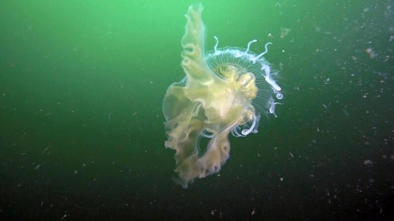 . – Bild: Bibel TV