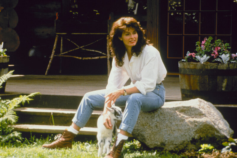 Ein Vogel auf dem Drahtseil – Bild: Puls 4