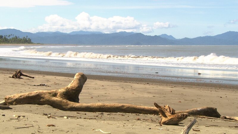 Chocó im Nordwesten Kolumbiens – in diese Urwald-Region am Pazifik haben Spanier vor 500 Jahren Sklaven für die Goldsuche gebracht. – Bild: ZDF und SWR. Chocó im Nordwesten Kolumbiens – in diese Urwald-Region am Pazifik haben Spanier vor 500 Jahren Sklaven für die Goldsuche gebracht. – Bild: ZDF und SWR.