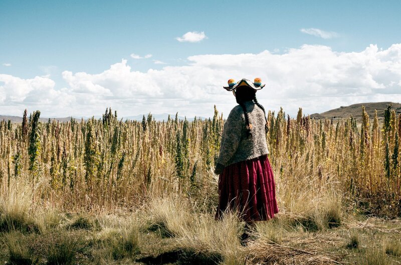 Landwirtschaft wird in Peru vorrangig von Frauen erledigt. Die Weiblichkeit ist eng verbunden mit der Erde, da beides symbolisch für die Entstehung von Leben steht. – Bild: ARTE France /​ © Miguel Palomino