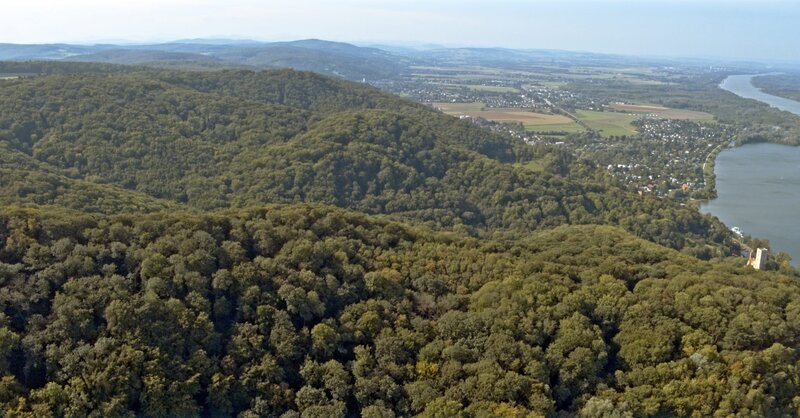 Naturschutzgebiet Wienerwald bei Greifenstein. – Bild: ORF/IPFilm Naturschutzgebiet Wienerwald bei Greifenstein. – Bild: ORF/IPFilm