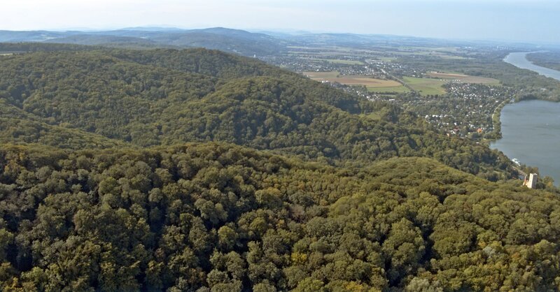 Naturschutzgebiet Wienerwald bei Greifenstein. – Bild: ORF/​IPFilm