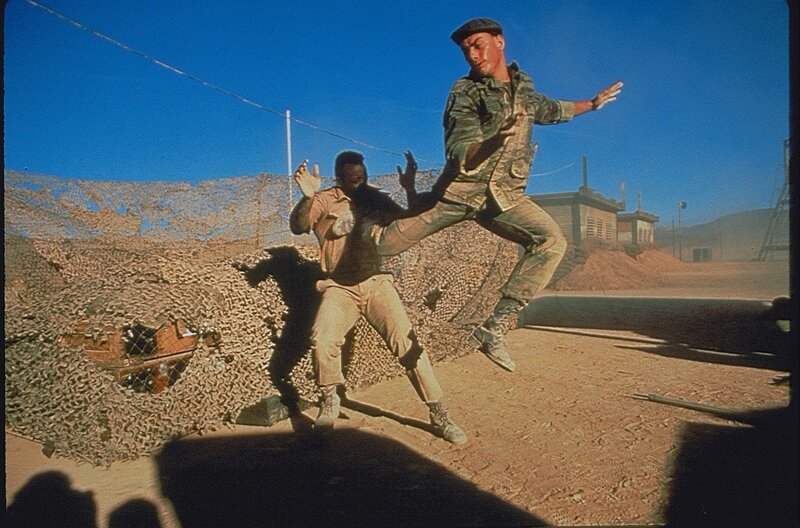 Leon – Bild: MCMXC WRONG BET PRODUCTIONS, INC. ALL RIGHTS RESERVED Lizenzbild frei