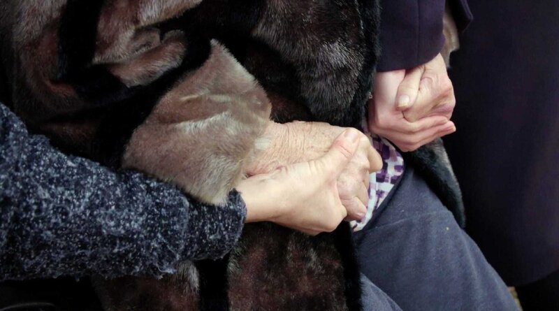 Hand in Hand der Generationen. – Bild: ZDF und Per Fredrik Skiöld. Hand in Hand der Generationen. – Bild: ZDF und Per Fredrik Skiöld.