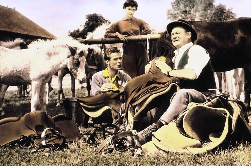 Ferien auf Immenhof – Bild: ZDF und Taurus – Film