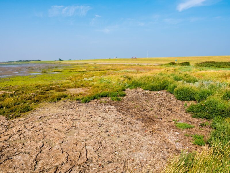 Salt marshes at low tide and bicyclists on dike on a sunny day with blue sky on West Frisian island Schiermonnikoog, Netherlands – Bild: Jeannette Tas /​ (c) Jeannette Tas,