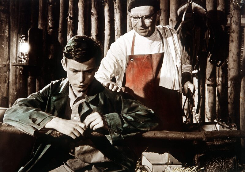 Die Mädels vom Immenhof – Bild: ORF/​Beta Film