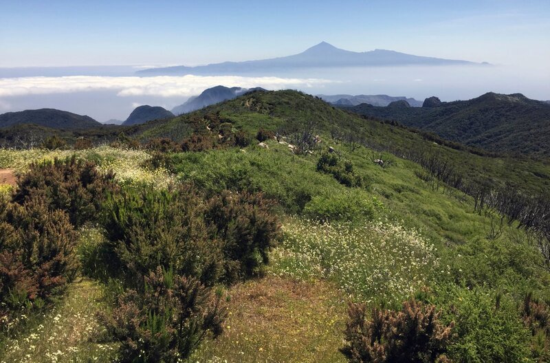 Landschaft im Nationalpark Garajonay auf der Kanareninsel La Gomera. – Bild: ZDF und HR/​Monika Birk.