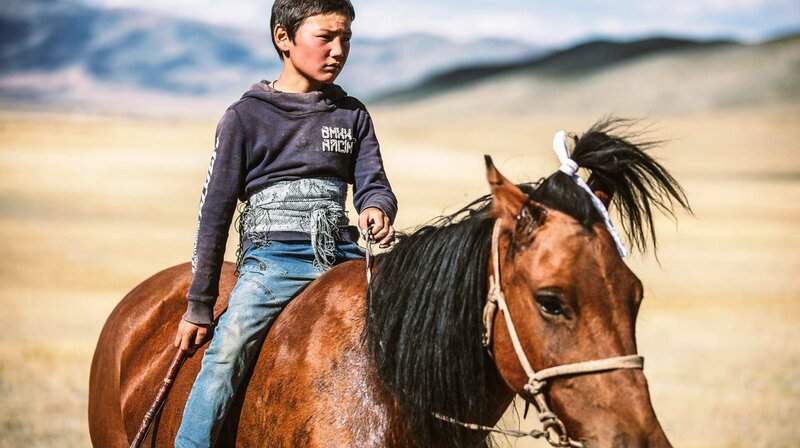 Die Geschichte von Pferd und Mensch – Bild: phoenix/​ZDF