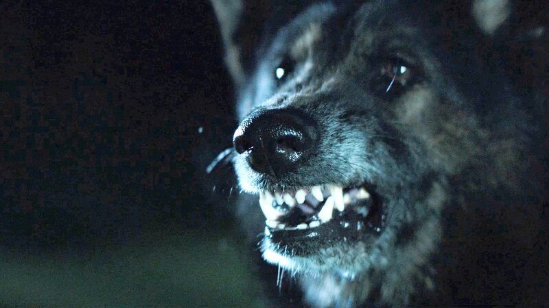 . – Bild: Silverline