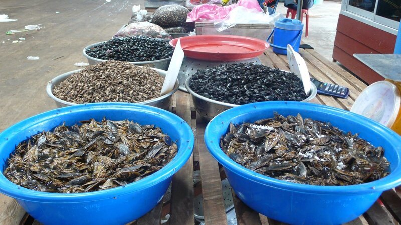 Schüsseln mit Insekten in Bangkok. – Bild: BBC/Plum Pictures Ltd 2012/Nik Porter/Nik Porter Schüsseln mit Insekten in Bangkok. – Bild: BBC/Plum Pictures Ltd 2012/Nik Porter/Nik Porter