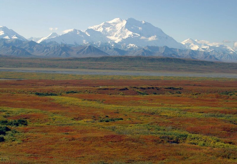 Der gewaltige Mount McKinley beherrscht die Tundra des Denali-Nationalparks. Mit über 6.000 Metern ist er der höchste Berg Nordamerikas. – Bild: Credit: BR/​NDR/​Guenter Goldmann, Source: NDR-Pressestelle,