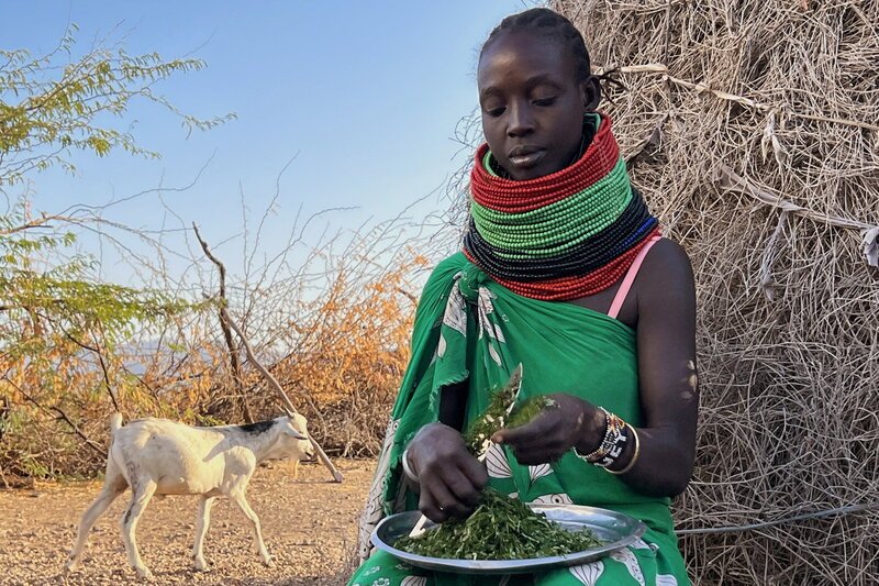 NZZ Format Überleben in der Dürre Wie Kenyas Menschen Strategien gegen den Klimawandel entwickeln. SRF/NZZ Format – Bild: SRF1 NZZ Format Überleben in der Dürre Wie Kenyas Menschen Strategien gegen den Klimawandel entwickeln. SRF/NZZ Format – Bild: SRF1
