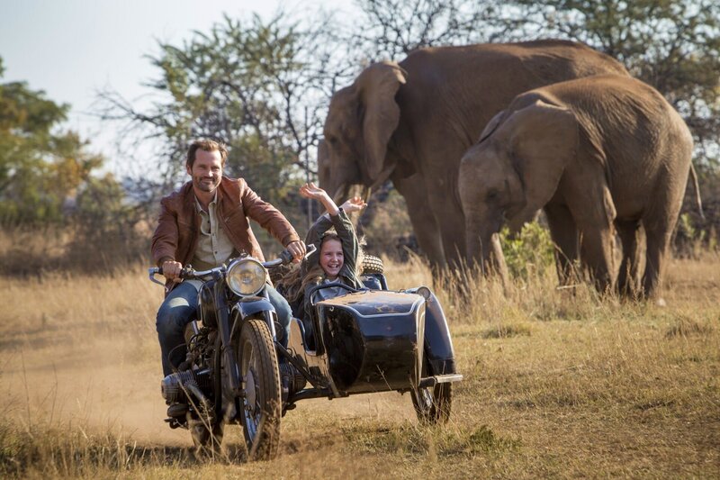 Mia und der weiße Löwe – Bild: Studiocanal GmbH /​ Coert Wiechers Lizenzbild frei